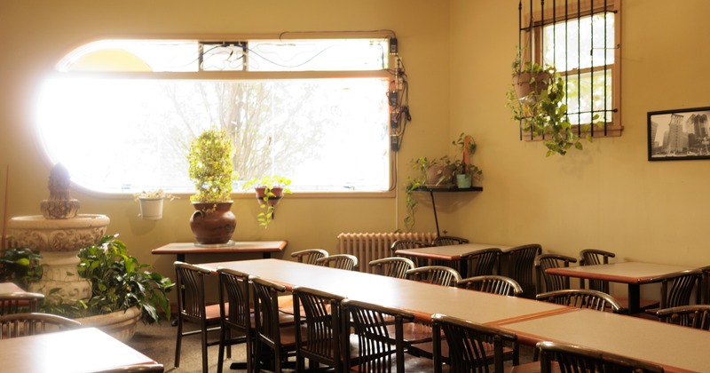 Interior, sunlit seating area, plant pots around the room