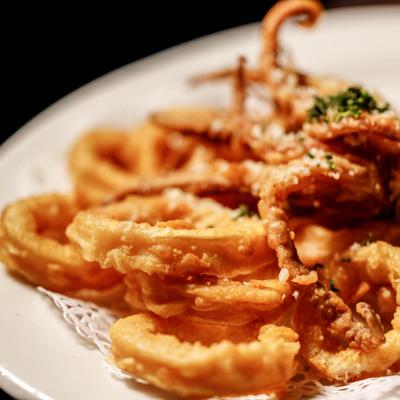 Fried Calamari garnished with herbs and grated cheese, close-up.