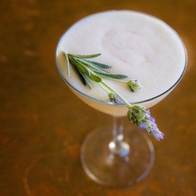 Rosemary Gimlet Cocktail.