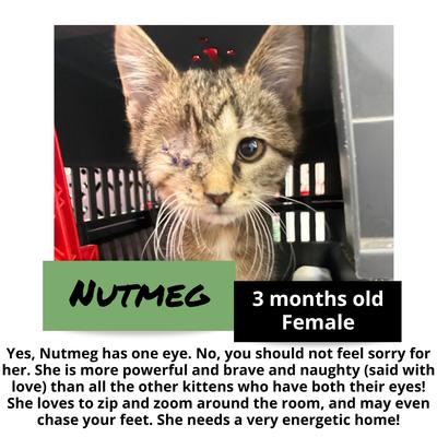 gallery photo number 15