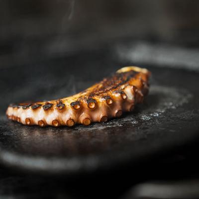 Octopus on the grill.