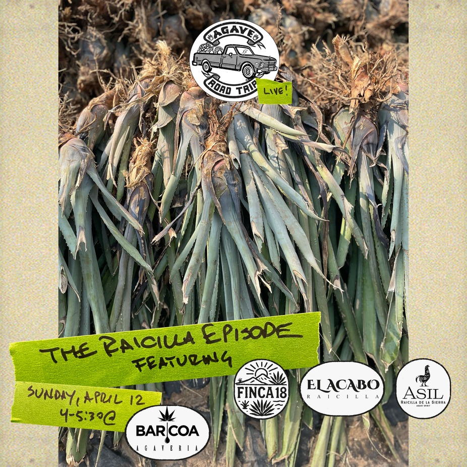 Agave Road Trip LIVE event photo