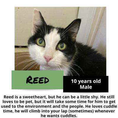 gallery photo number 12