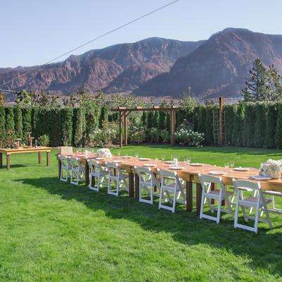 Table set up in garden, preparations for celebration