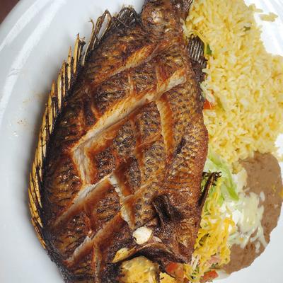 Grilled fish served