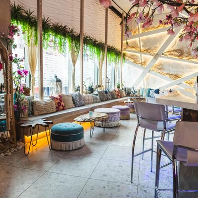 Lounge seating with plants and decorative lighting.