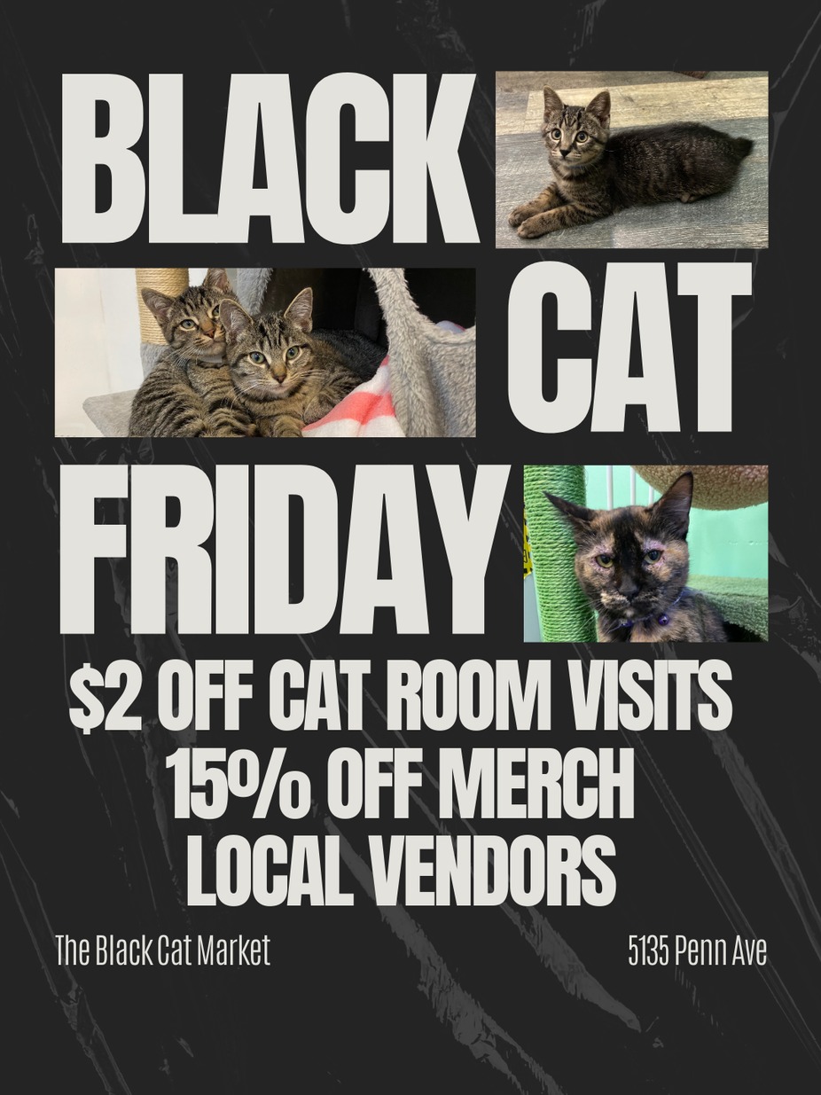 Black Cat Friday event photo