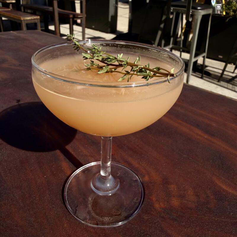 Rosemary Revival photo