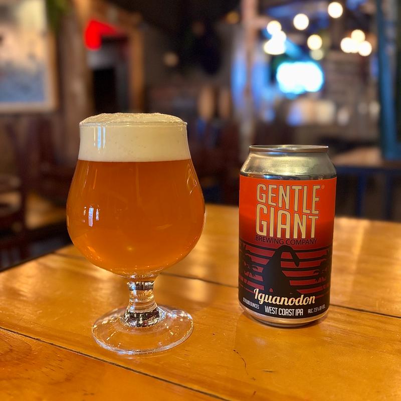 Iguanodon - West Coast IPA photo