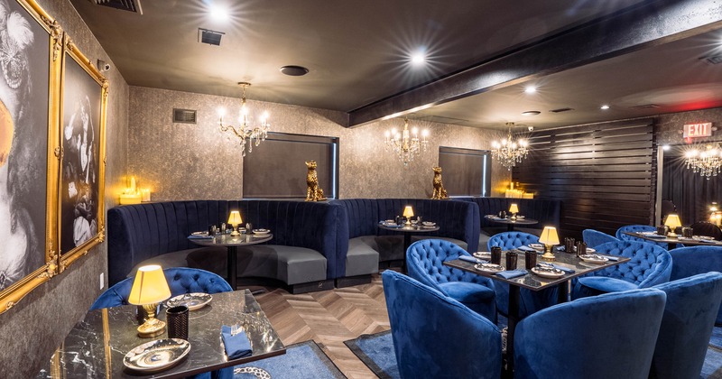 Luxurious restaurant interior featuring plush blue seating