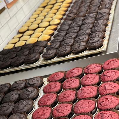 gallery photo number 14