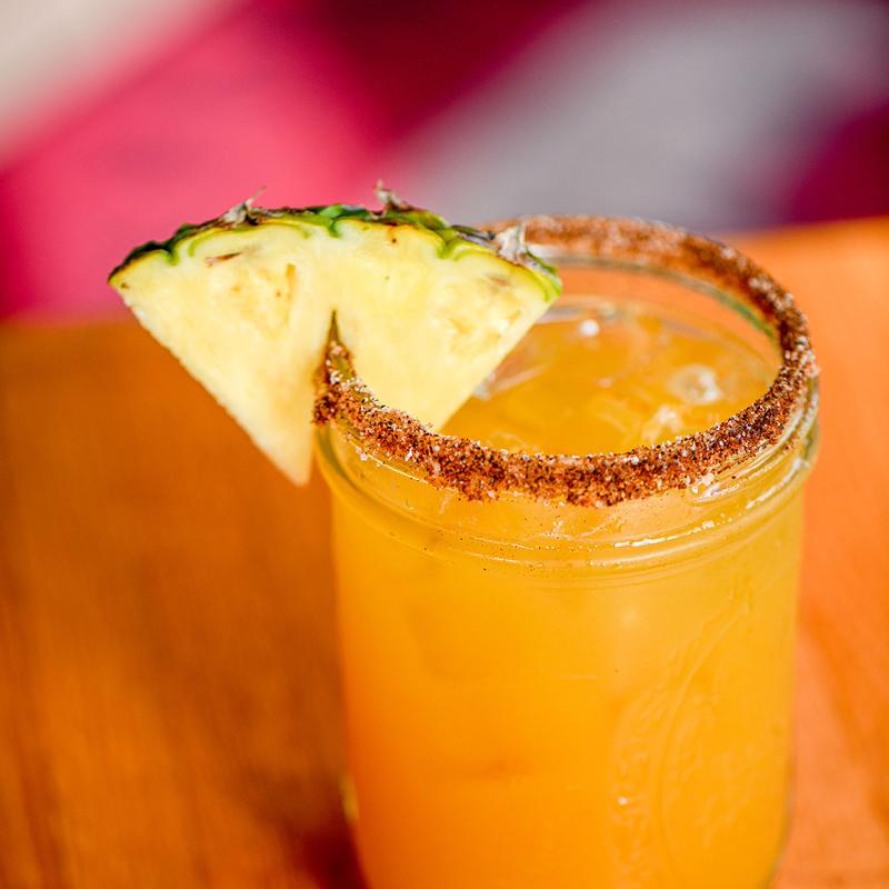 Chihuahuas Revenge photo