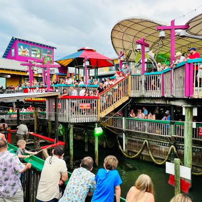 Exterior, crowd of people at the alligator park.