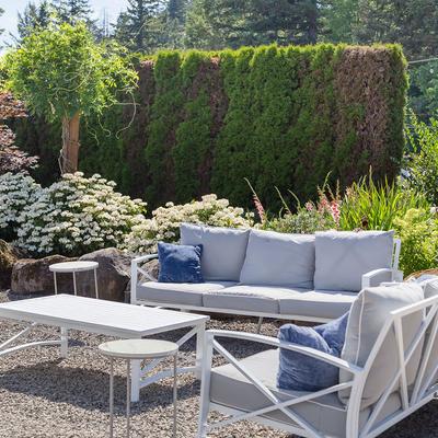 gallery photo number 251