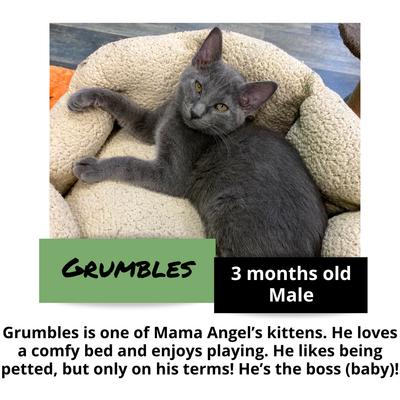 gallery photo number 14