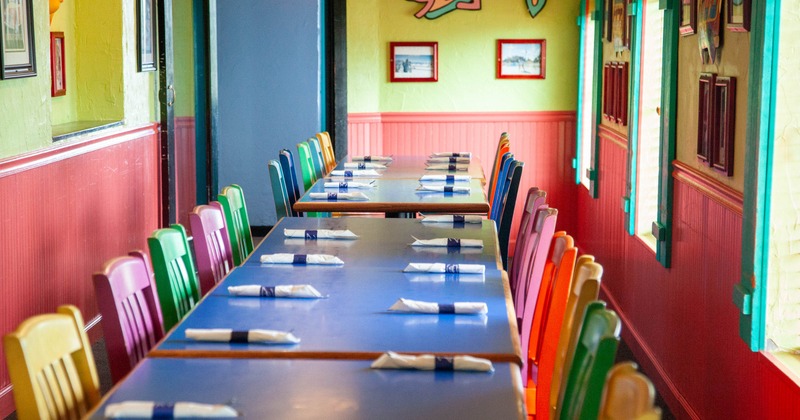 Interior, bird room, long table setups with colorful wooden chairs, seating for 10+ people