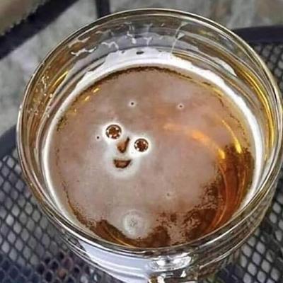 A glass of beer.