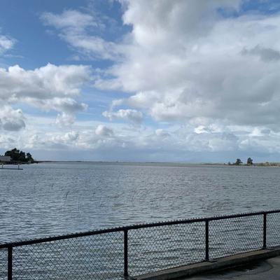 A view of waters from patio.