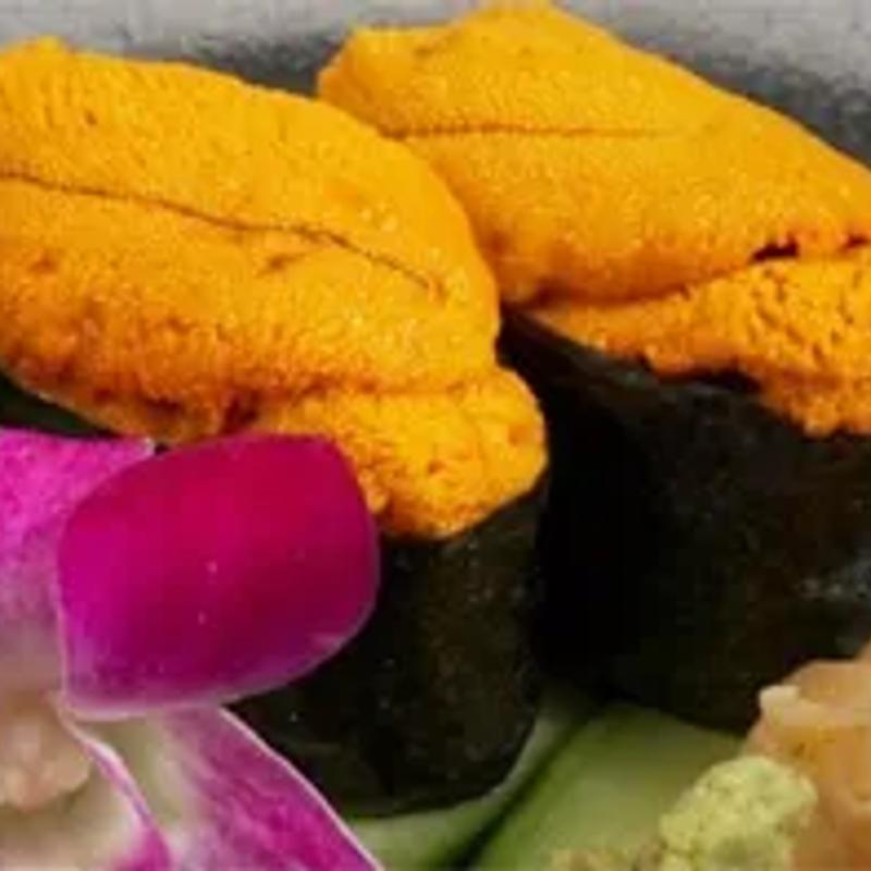 Sea Urchin* Uni photo