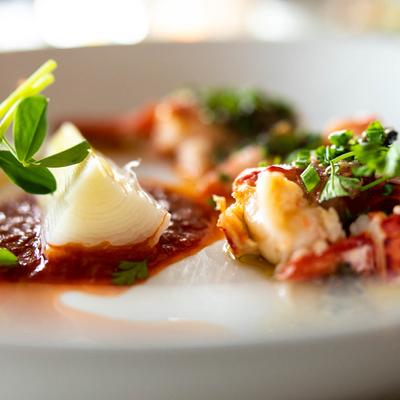 Maine Lobster, closeup