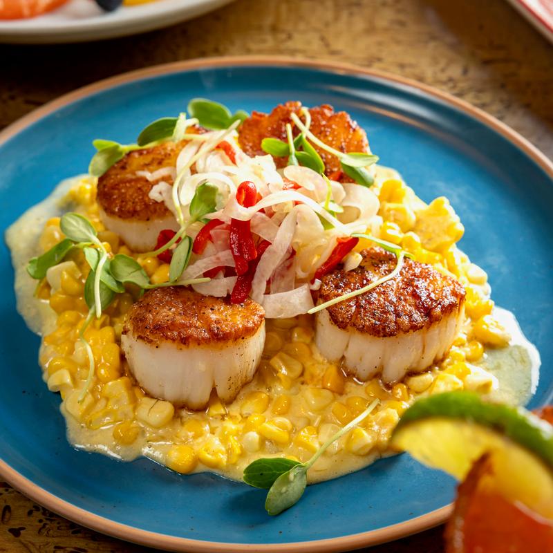 Seared Scallops photo