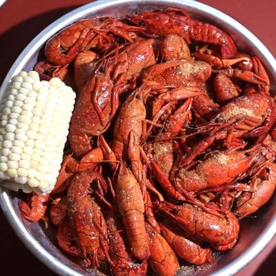 gallery photo number 140