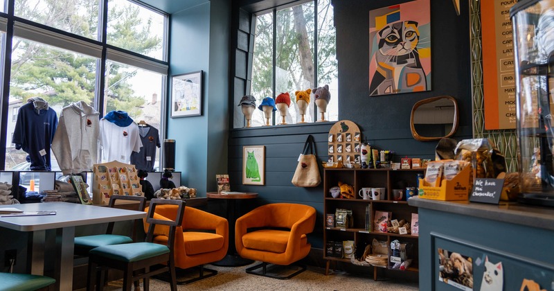 Interior, two cozy sofas near the windows