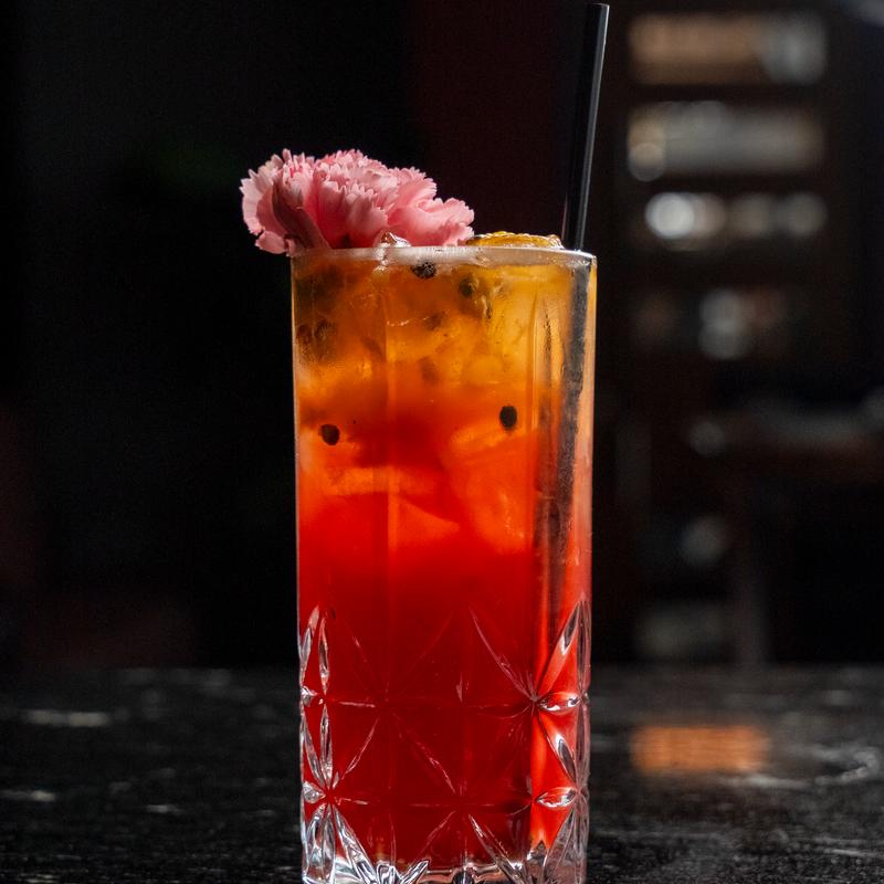 Passion – Hibiscus Paloma photo