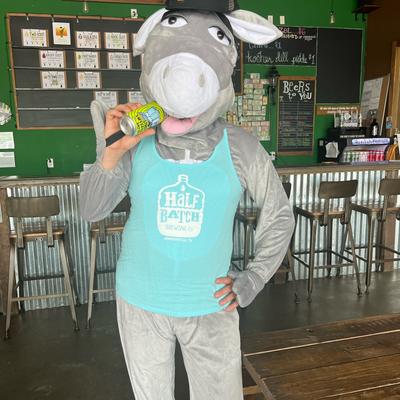 gallery photo number 1