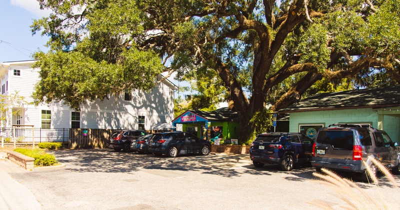 Exterior, wide view to restaurant, tree shadow, parking lot