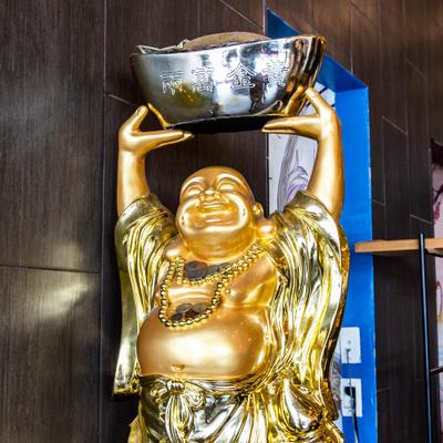 gallery photo number 238