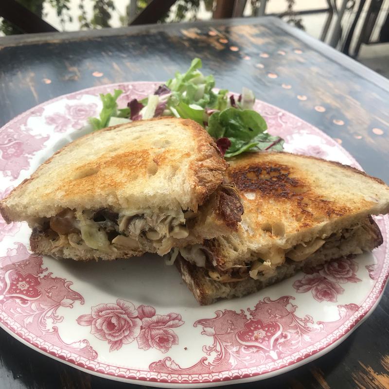 Roasted Mushroom Grilled Cheese photo