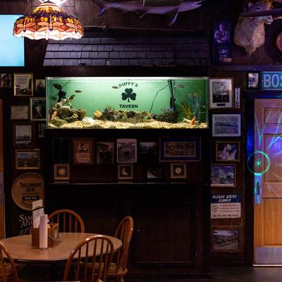 gallery photo number 11