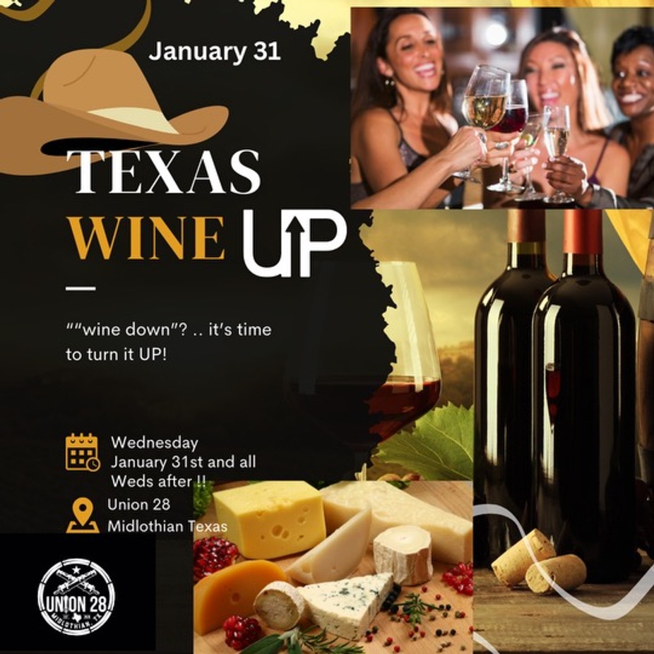 Texas Wine Up event photo