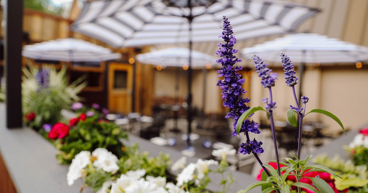 Colorful flowers in a planter with a blurred striped patio umbrellas in the background