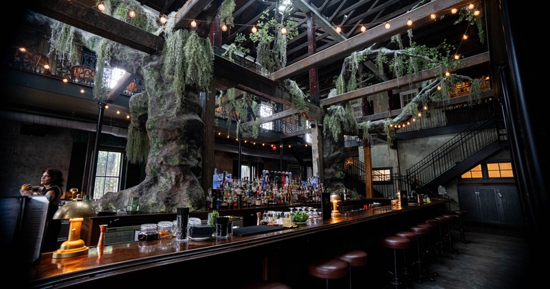 A rustic bar featuring tree-like structures, a wooden counter with burgundy stools