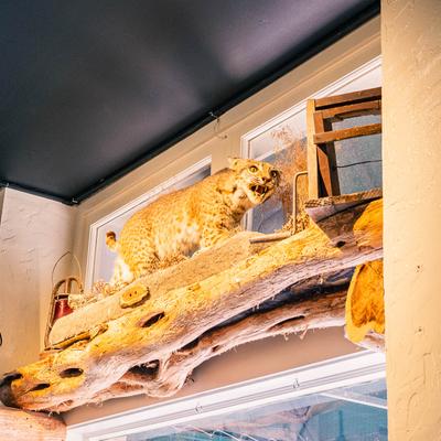 Interior decorations.