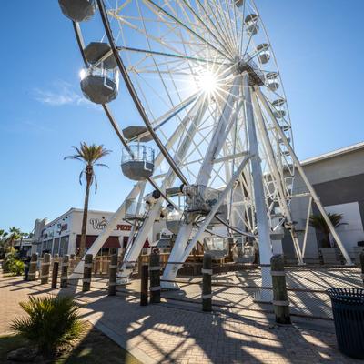 Exterior featuring a white Ferris wheel and palm trees on a clear sunny day.
