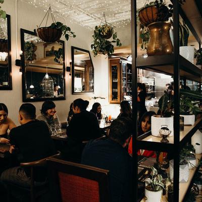 Guests seated surrounded by plants and vintage decor.