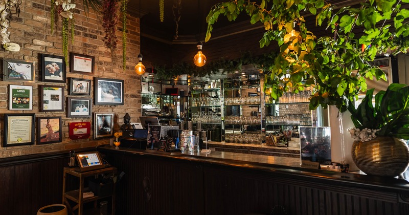 Interior, bar area