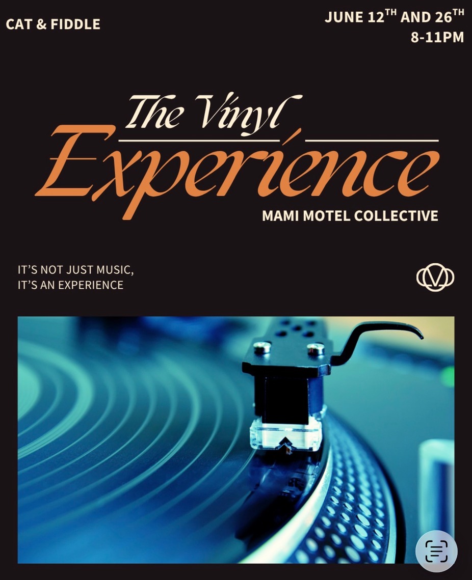 The Vinyl Experience event photo