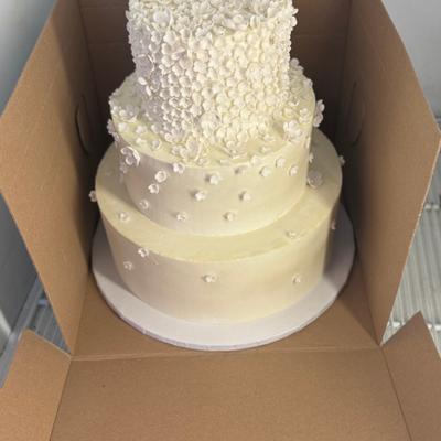 gallery photo number 1020