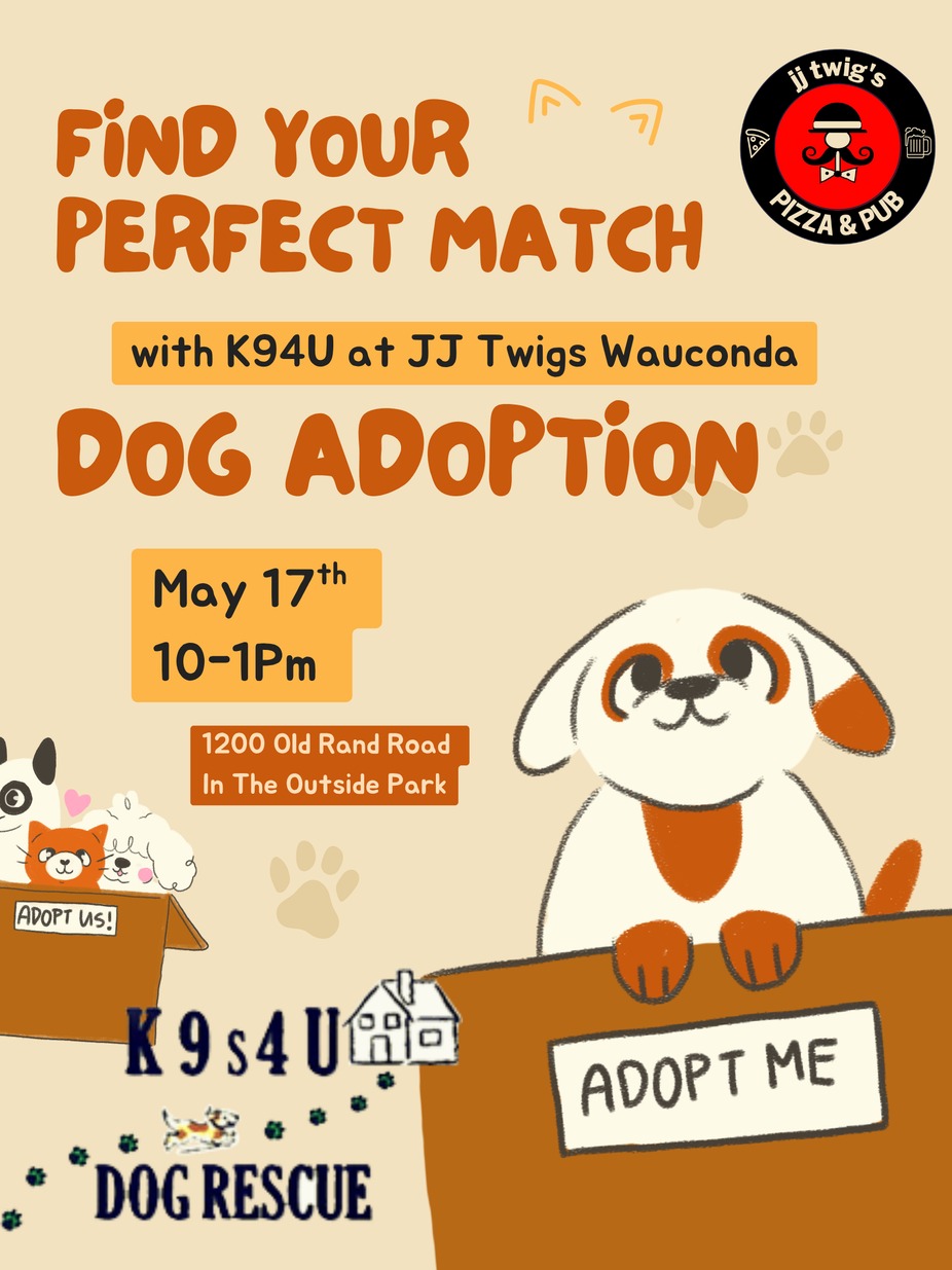 gallery photo number 3