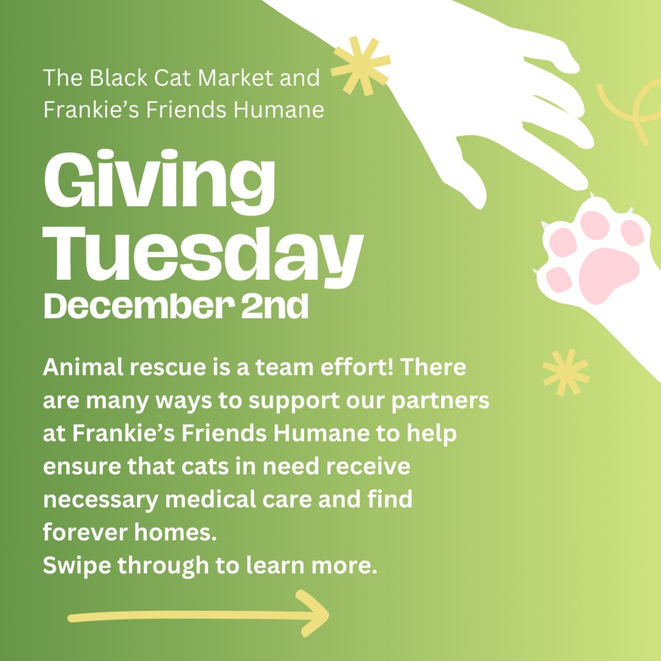 Giving Tuesday event photo