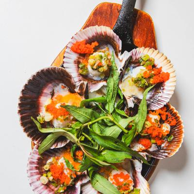 A plate of grilled scallops in their shells topped with scallion oil and herbs.