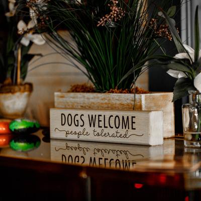 Plants and a sign saying dogs are welcome and people tolerated.