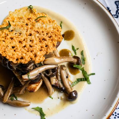 Gourmet dish with parmesan tuile, mushrooms, bread, and sauces on a white plate