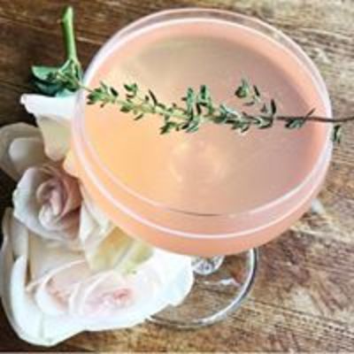 Blush pink craft cocktail with a thyme sprig.