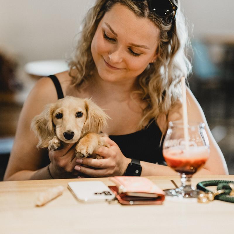 Dog friendly gallery photo number 3