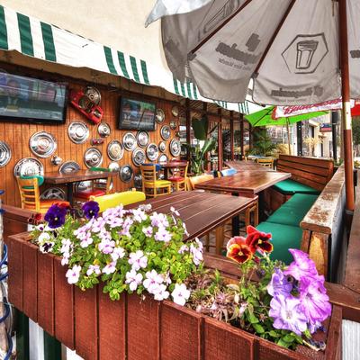Outdoor patio with vibrant flowers, wooden tables, and colorful chairs